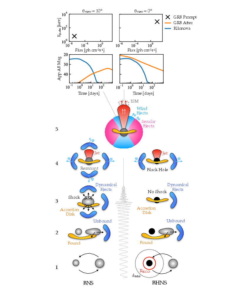 Schematic representation of BNS and BHNS mergers and their multi-messenger emissions.
