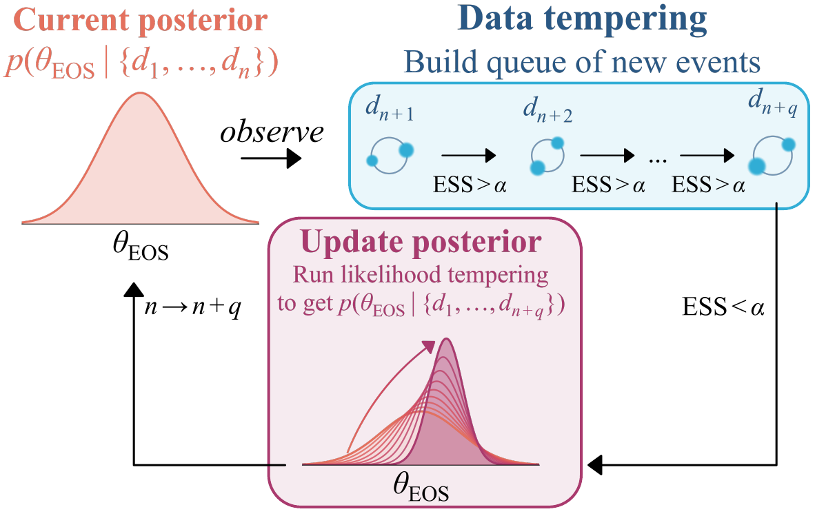 Illustration of our algorithm processing a growing catalog. Each iteration maintains a set of particles distributed according to the partial posterior conditioned on the $n$ events observed so far (\textit{upper left}). Observations that are not informative enough to significantly affect the posterior are collected in a queue (data tempering, \textit{upper right}). If, after accumulating $q$ events, the batch of new events is sufficiently informative, we update the partial posterior using likelihood tempering (\textit{lower}). Afterwards, we update our current posterior to be informed by $n+q$ events, and continue the loop.