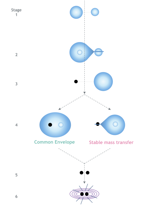 Evolutionary pathways to form a GW source for isolated binary evolution. Left: the common-envelope channel and the stable mass transfer channel. Stage 1) Zero-Age-Main-Sequence (ZAMS) 2) First phase of mass transfer 3) Formation of BH or NS 4) Second phase of mass transfer 5) Formation of double compact object 6) GW merger. Right: chemically homogeneous evolution. Stage 1) ZAMS 2) Formation of binary BH 3) GW merger.