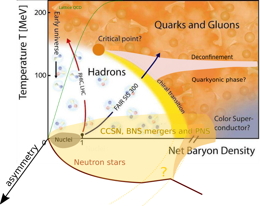 Depending on the thermodynamic conditions, matter can exist in different forms, like nuclei, gas of nuclear clusters, gas of hadrons, and strongly-coupled quark-gluon plasma states. The temperature-density-isospin asymmetry diagram illustrates the different thermodynamic conditions spanned in NSs, BNS mergers, CCSN, PNSs, as well as in nuclei and the early universe. The regimes that can be explored in different terrestrial facilities are also indicated. Figure adapted from \cite{GSIphasediagram}.