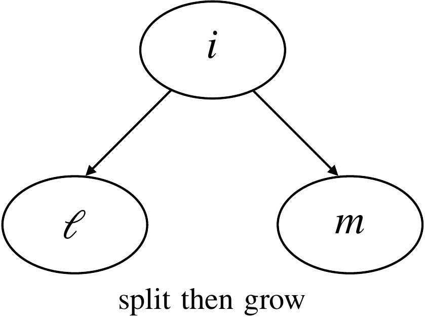 Different prescriptions for the branching time.