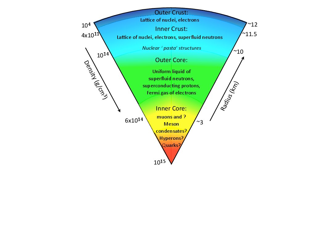 Conjectured structure of a cold, mature neutron star. In the interior, matter ranges over nearly an order of magnitude in density and encompasses a variety of different phases and physical properties. Figure adapted from ref.~\cite{Maggiore:2019uih}.